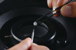 堅持對品質的追求